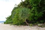 Canigao Island Foreshore, Leyte, Philippines 3:2