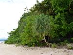 Canigao Island Foreshore, Leyte, Philippines 4:3