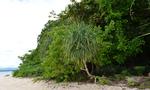 Canigao Island Foreshore, Leyte, Philippines 5:3