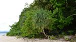 Canigao Island Foreshore, Leyte, Philippines 16:9