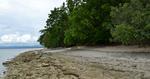 Canigao Island Foreshore, Leyte, Philippines 362 - 17:9