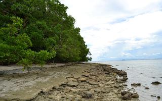 Canigao Island Foreshore, Leyte, Philippines 363 8:5