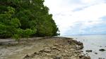 Canigao Island Foreshore, Leyte, Philippines 363 16:9