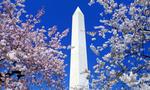 Washington Monument, Washington DC, 5:3