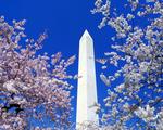 Washington Monument, Washington DC, 5:4