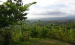 View from Jubilee Hill, Matalom Area, Leyte, Philippines, 5:3