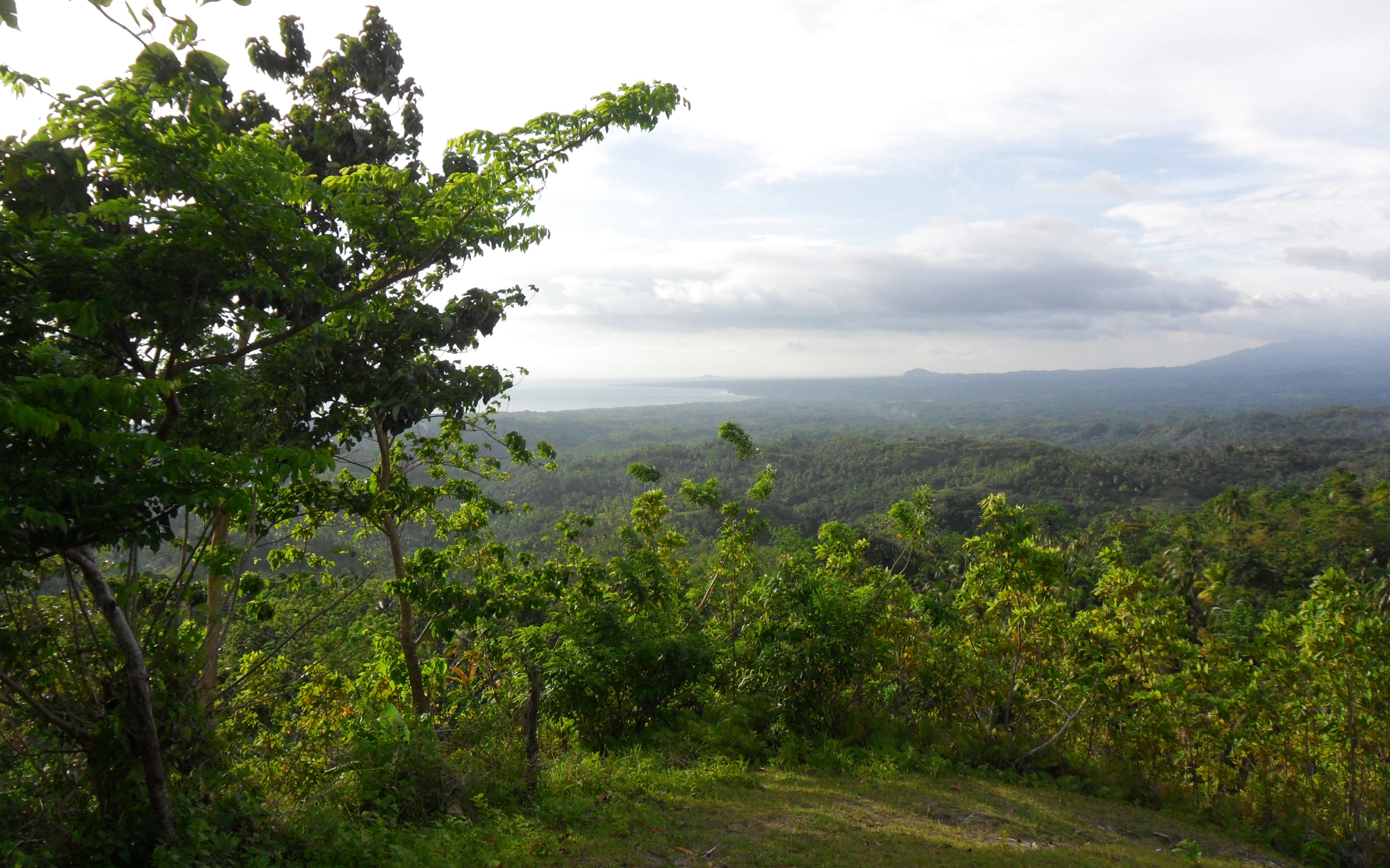 View from Jubilee Hill, Matalom Area, Leyte, Philippines, 8:5