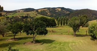 Rustic Scenes From Gippsland, Victoria, Australia, 17:9