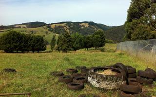 Rustic Scenes From Gippsland, Victoria, Australia, 33, 8:5