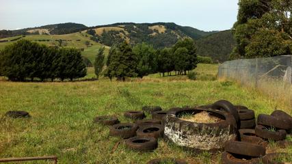 Rustic Scenes From Gippsland, Victoria, Australia, 33, 16:9