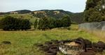 Rustic Scenes From Gippsland, Victoria, Australia, 33, 17:9