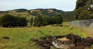 Rustic Scenes From Gippsland, Victoria, Australia, 33, 17:9