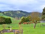 Rustic Scenes From Gippsland, Victoria, Australia 190, 4:3