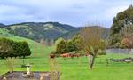 Rustic Scenes From Gippsland, Victoria, Australia 190, 5:3