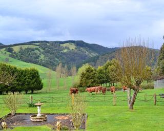 Rustic Scenes From Gippsland, Victoria, Australia 190, 5:4