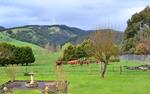 Rustic Scenes From Gippsland, Victoria, Australia 190, 8:5