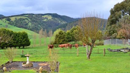 Rustic Scenes From Gippsland, Victoria, Australia 190, 16:9