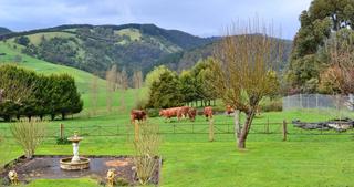 Rustic Scenes From Gippsland, Victoria, Australia 190, 17:9