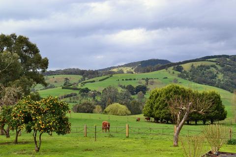 Rustic Scenes From Gippsland, Victoria, Australia 191, 3:2