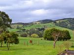 Rustic Scenes From Gippsland, Victoria, Australia 191, 4:3