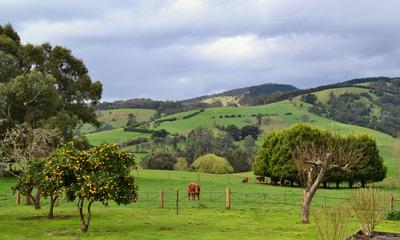 Rustic Scenes From Gippsland, Victoria, Australia 191, 5:3