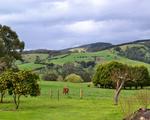 Rustic Scenes From Gippsland, Victoria, Australia 191, 5:4