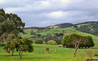 Rustic Scenes From Gippsland, Victoria, Australia 191, 8:5