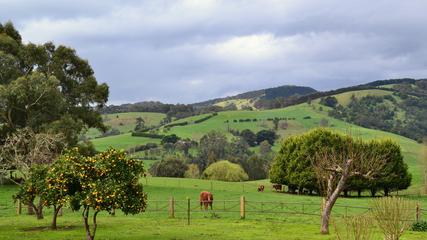 Rustic Scenes From Gippsland, Victoria, Australia 191, 16:9