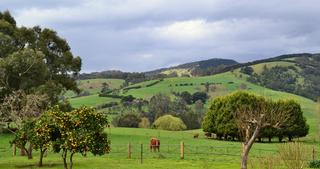 Rustic Scenes From Gippsland, Victoria, Australia 191, 17:9