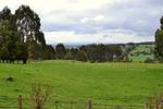 Scenes From Latrobe Valley, Gippsland, Victoria, Australia, 193, 3:2