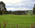 Scenes From Latrobe Valley, Gippsland, Victoria, Australia, 193, 5:4