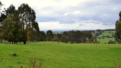 Scenes From Latrobe Valley, Gippsland, Victoria, Australia, 193, 16:9