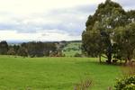 Scenes From Latrobe Valley, Gippsland, Victoria, Australia, 194, 3:2