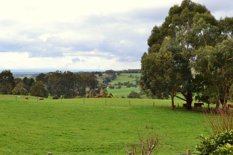 Scenes From Latrobe Valley, Gippsland, Victoria, Australia, 194, 3:2