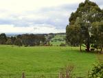 Scenes From Latrobe Valley, Gippsland, Victoria, Australia, 194, 4:3