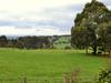 Scenes From Latrobe Valley, Gippsland, Victoria, Australia, 194, 4:3