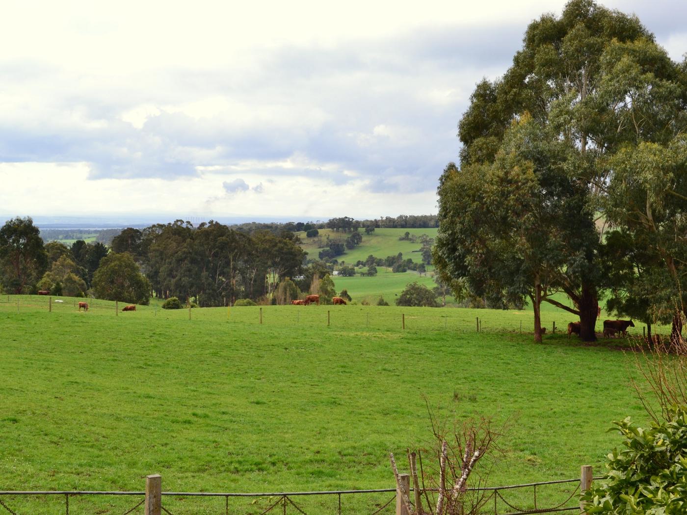 Scenes From Latrobe Valley, Gippsland, Victoria, Australia, 194, 4:3