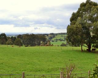 Scenes From Latrobe Valley, Gippsland, Victoria, Australia, 194, 5:4