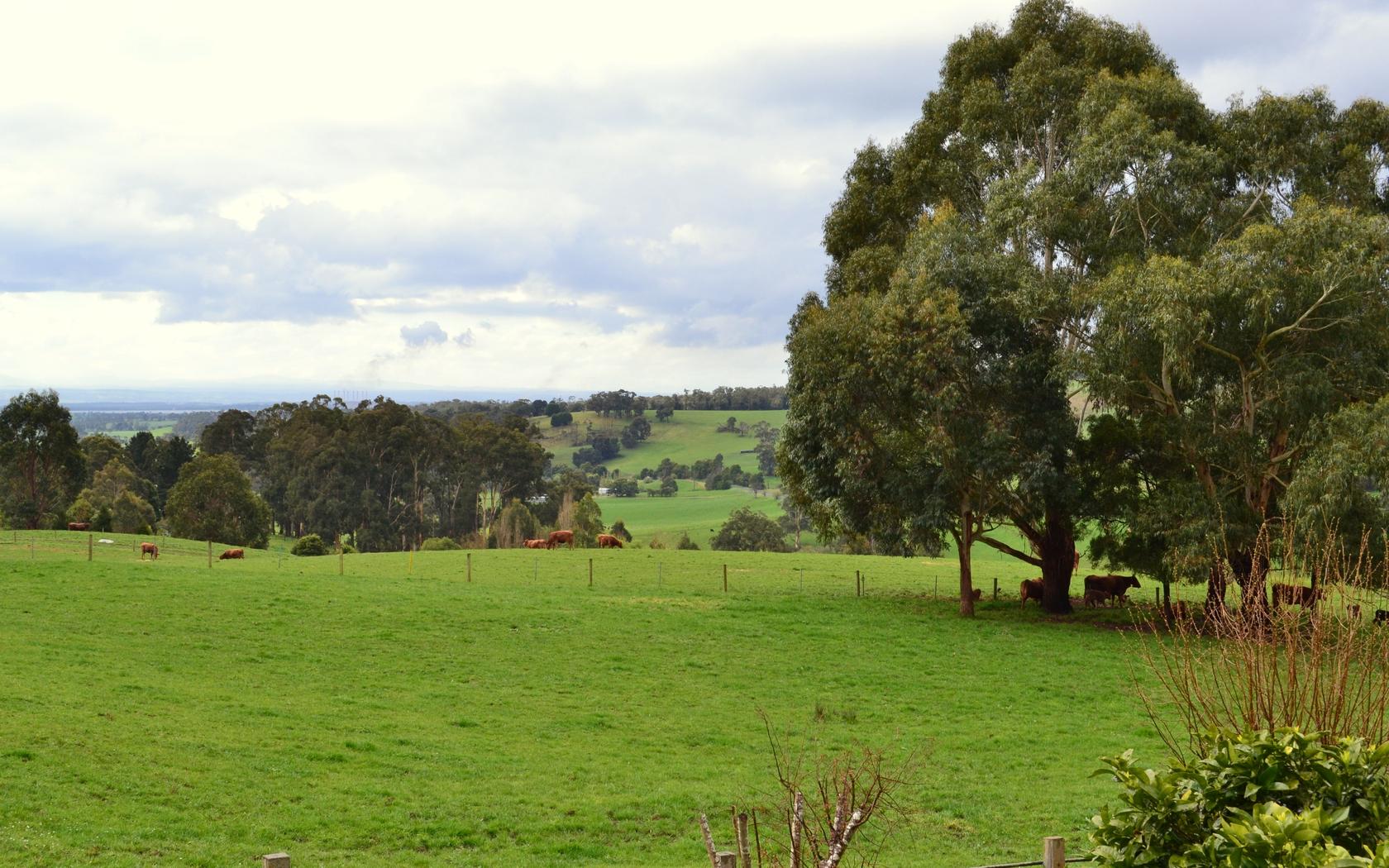 Scenes From Latrobe Valley, Gippsland, Victoria, Australia, 194, 8:5