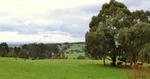 Scenes From Latrobe Valley, Gippsland, Victoria, Australia, 194, 17:9