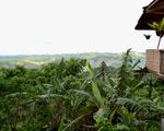 Hanginan Views, Maasin, Leyte, Philippines, 243, 5:4