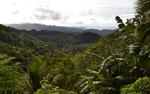 Hanginan Views, Maasin, Leyte, Philippines, 276-85