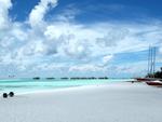 Maldives Beach Scenes